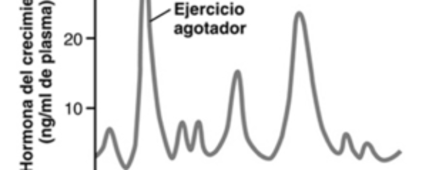 Hormona de crecimiento